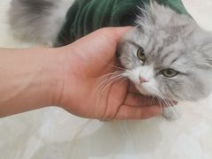 -宠福鑫康馨动物医院·骨科·眼科