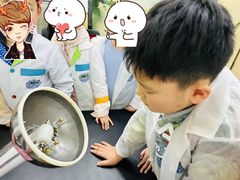 -神奇科学家STEAM科学实验科创赛事机器人编程逻辑思维MadScience(长宁来福士校区)