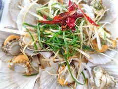 油泼扇贝-1910老鲁味海鲜·戳子肉·青岛菜(金沙滩店)