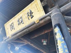 -大唐贡茶院