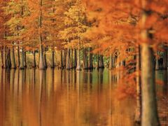 -白鹭湾湿地公园