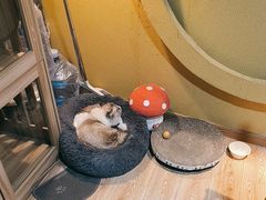 -白兔子密室(长寿路店)