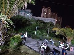 -金鸡岭桥头公园