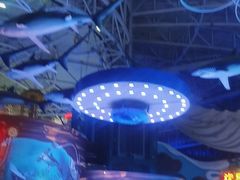 -烟台海昌鲸鲨海洋公园