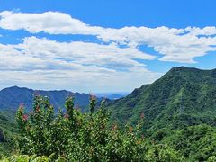 -大岭沟猕猴桃谷风景区