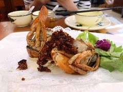 招牌煎蟹膏-友强·23年特色海鲜大排档(厦门店)