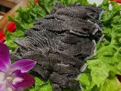精品毛肚-南门四季铜锅涮肉(左家庄店)