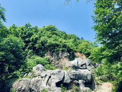 -老山国家森林公园