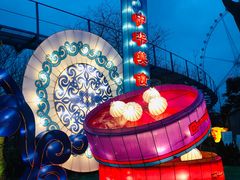 -锦江乐园舞狸花花游园会(夜场专享)