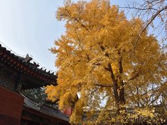 -承恩寺