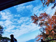 -广州市石门国家森林公园