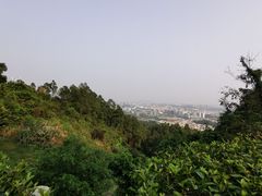 -火炉山森林公园