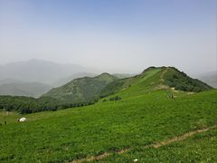 -灵山