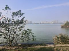 -艾溪湖湿地公园