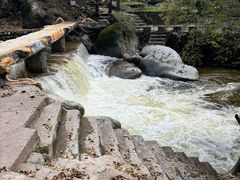 -陕西省红河谷森林公园