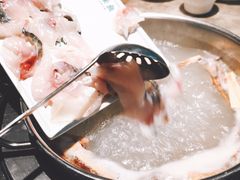 脆肉鲩鱼片-淘米捞·米汤脆鲩鱼火锅(福田皇岗店)
