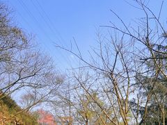 -重庆彩云湖湿地公园