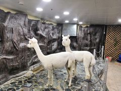 -上海大自然野生昆虫馆(东方明珠·爬宠昆虫探索中心)