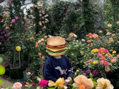 -龙大花卉苗木市场