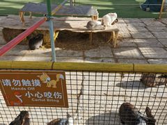 -南宫五洲植物乐园