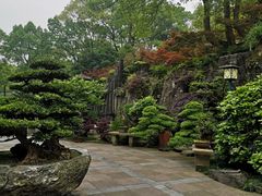 -南山植物园