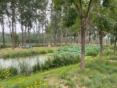 -东郊湿地公园