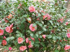 -广东外语外贸大学(白云山校区)