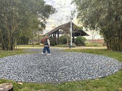 -芒洲湿地公园