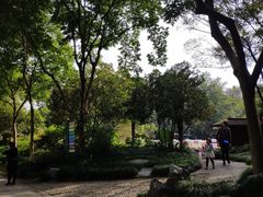 -杭州少年儿童公园