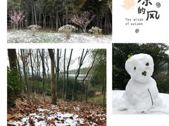 -苏州环秀晓筑养生度假村