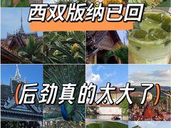 -野象谷景区