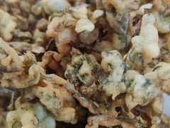 -何适山庄 ·可团建(水长城P2停车场店)