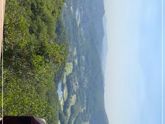-大屏嶂森林公园