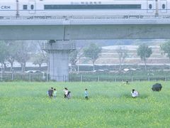-光明小镇欢乐田园