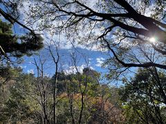 -鲁山国家森林公园