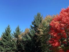 -长春世界雕塑园冰雪艺术天地