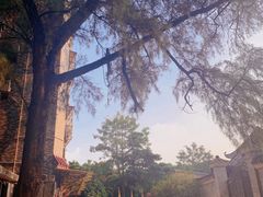 -黄埔古港
