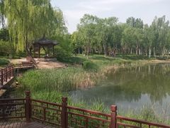 -北坞公园