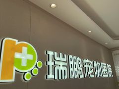 -瑞鹏宠物医院•异宠•宠保定点•流浪定点救助宠物医院(青祁店)