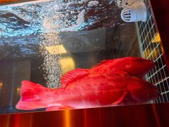 -ONE FULL 古董港式海鲜火锅