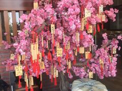 -早一美餐厅·EBISU(会展誉景店)