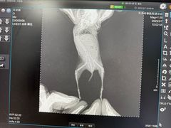 -瑞派·关忠动物医院·异宠专科·犬猫肿瘤·皮肤专科(望京店)