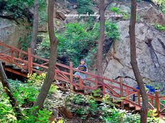 -大岭沟猕猴桃谷风景区