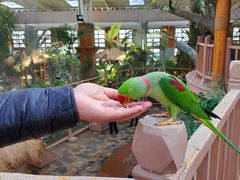 -南宫五洲植物乐园