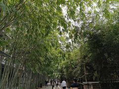-生如夏花泰式火锅(西村黑金店)