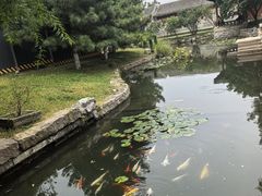 -春风习习