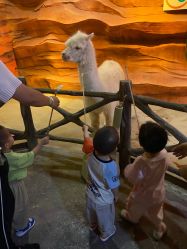 -酷嗒动物文化乐园(cutezoo西溪乐天城店)