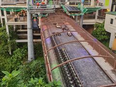 -圣淘沙天际线斜坡滑车