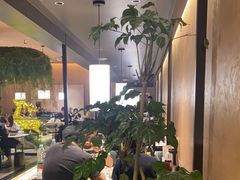 -阿露佳·舌尖上的安吉菜