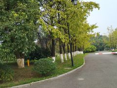 -铁山坪森林公园